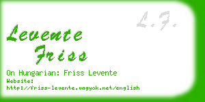 levente friss business card